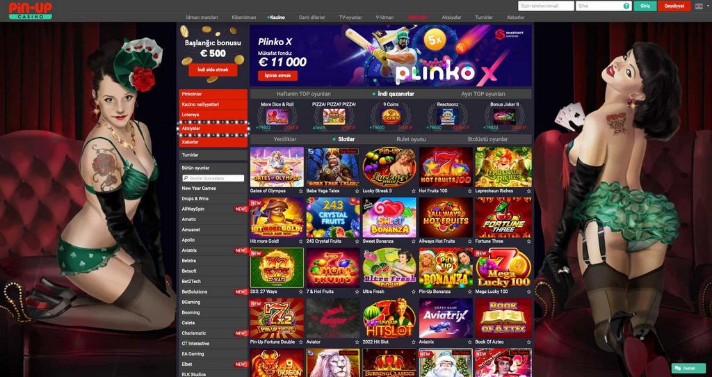 Pin-Up Casino Site: Video Game Option and Software Program